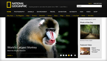 ddos压力在线测试平台